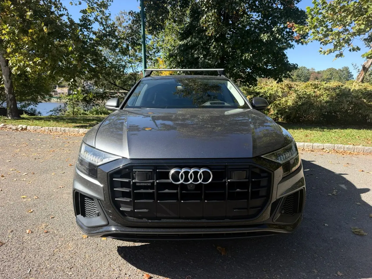 2019 Audi Q8 Prestige
